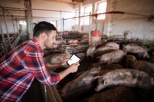 Sostenibilidad en la industria cárnica - desafíos y soluciones